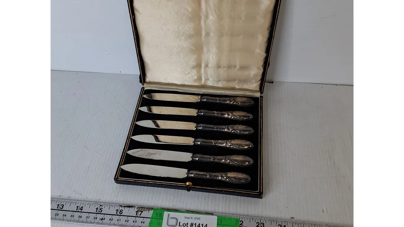 Sterling Silver (handles) Dessert Knife Set & Case