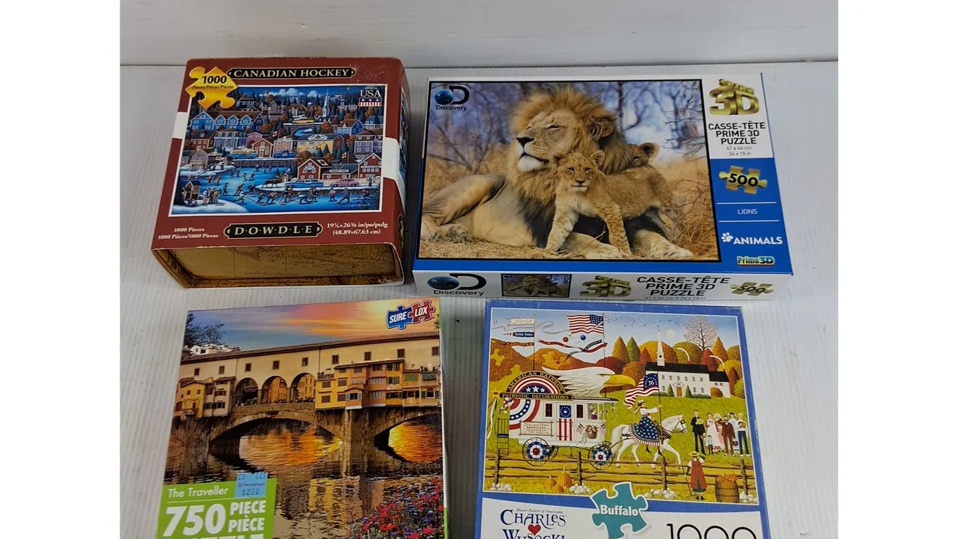 Assorted Jig Saw Puzzles