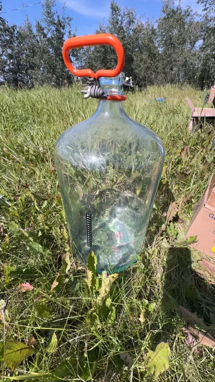 Large Clear Glass Carboy with Orange Handle