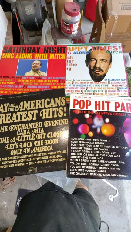 4 Vintage Vinyl Records Including Mitch Miller and Jay & The Americans