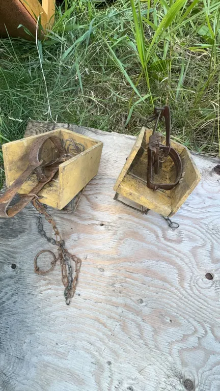 Steel Animal Traps with Wooden Boxes