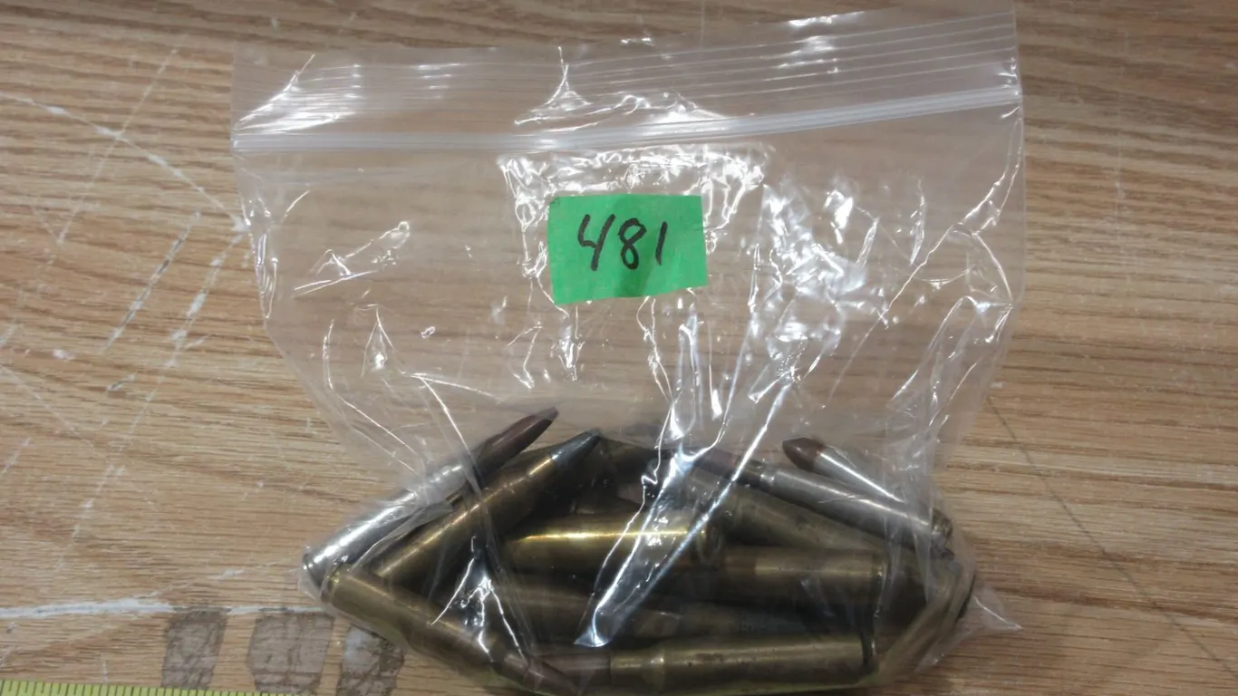 Various Ammo 40-82 WCF, 38-55, 43-m