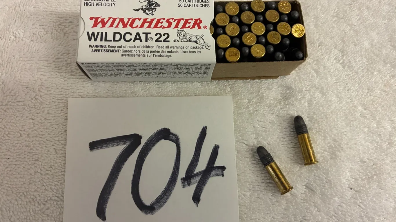 50 .22 Long Rifle Winchester Wildcat