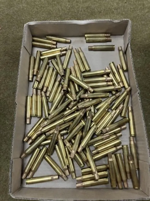 102ct Primed .30-06 Brass