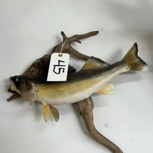 WALLEYE FISH MOUNT