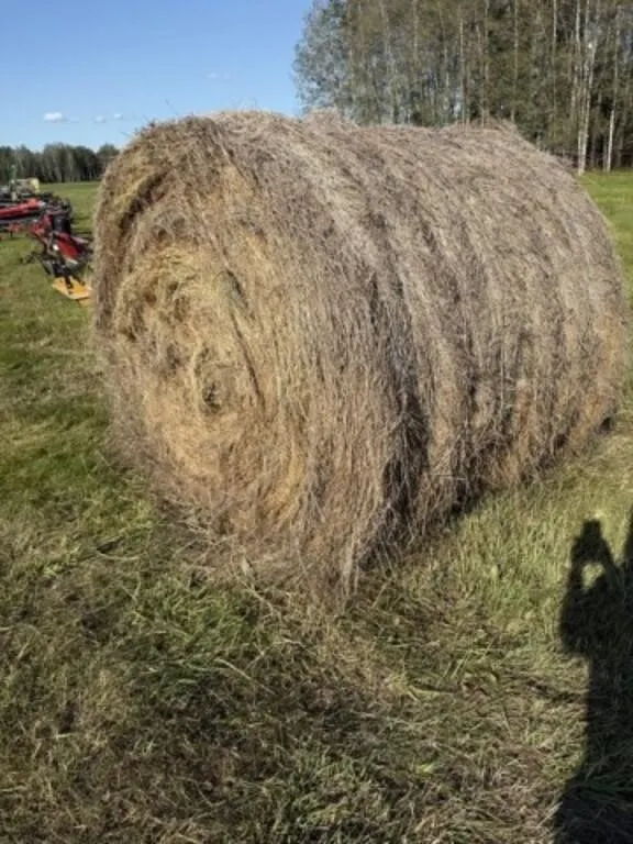 2025 Round Mixed Grass Hay Bale