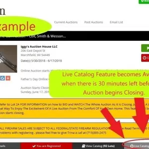 VIEW/BID ON AUCTION AS IT CLOSES IN REAL TIME