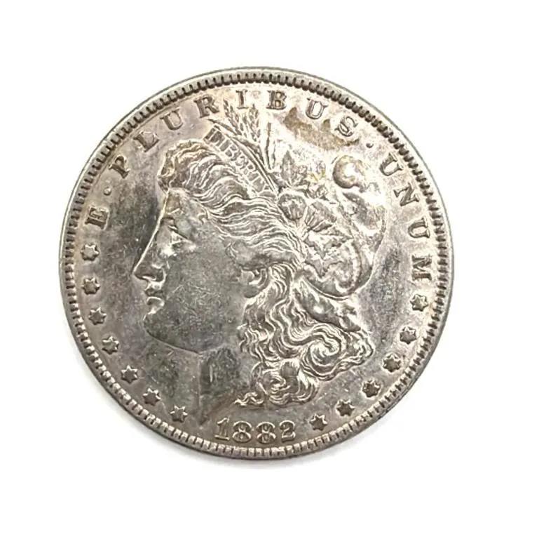 1882 Morgan Dollar