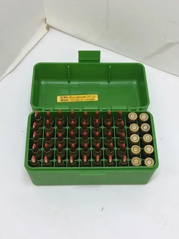 223 Ammo and Brass in Case
