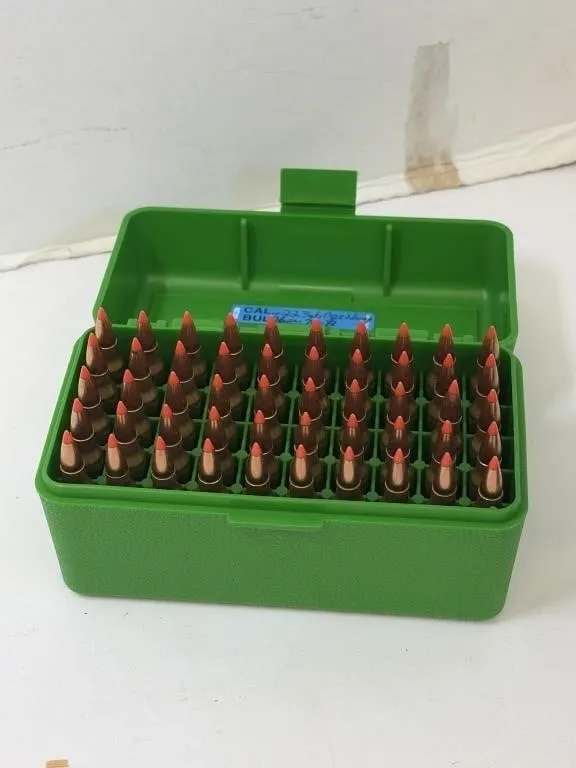 223 Ammo in Case