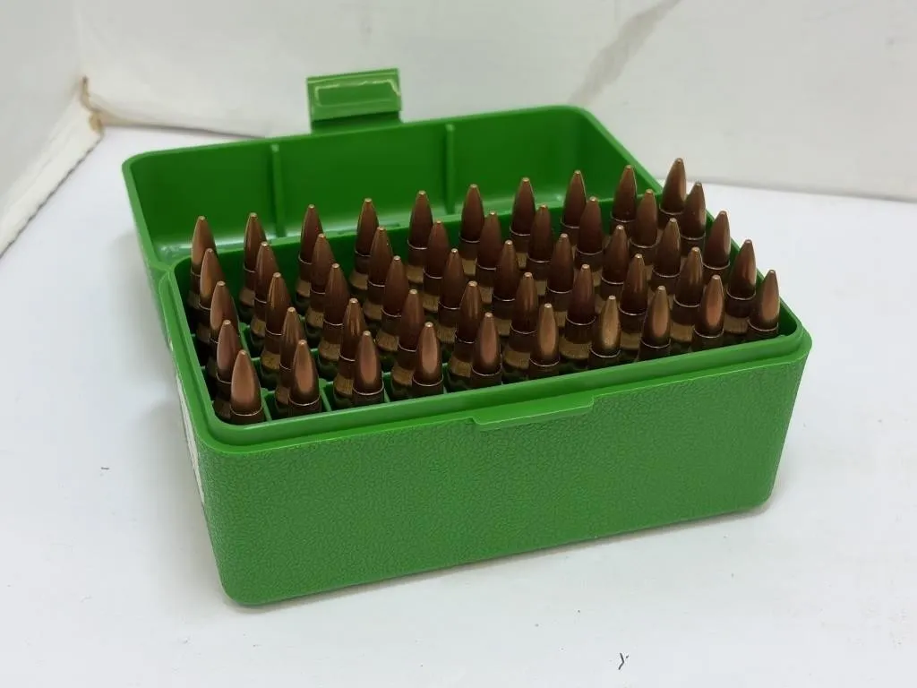 223 Ammunition in Case