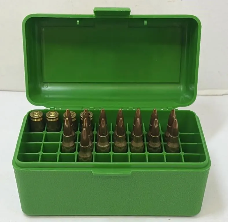 .223 Ammo and Brass in Case