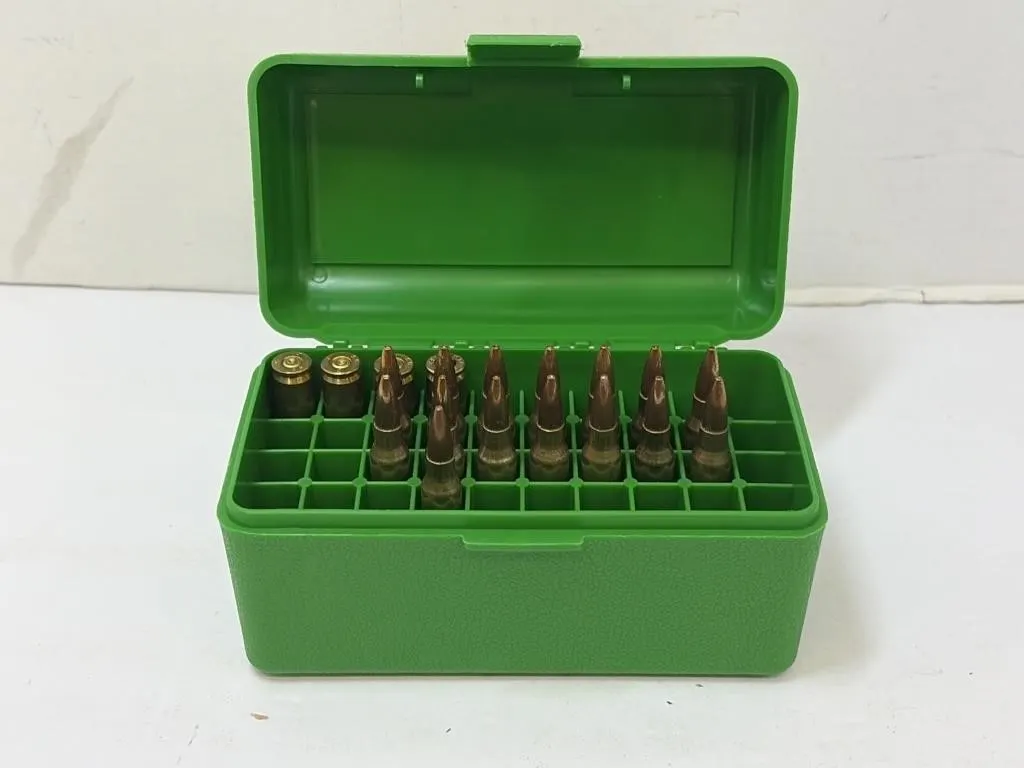 223 Ammo and Brass in Case