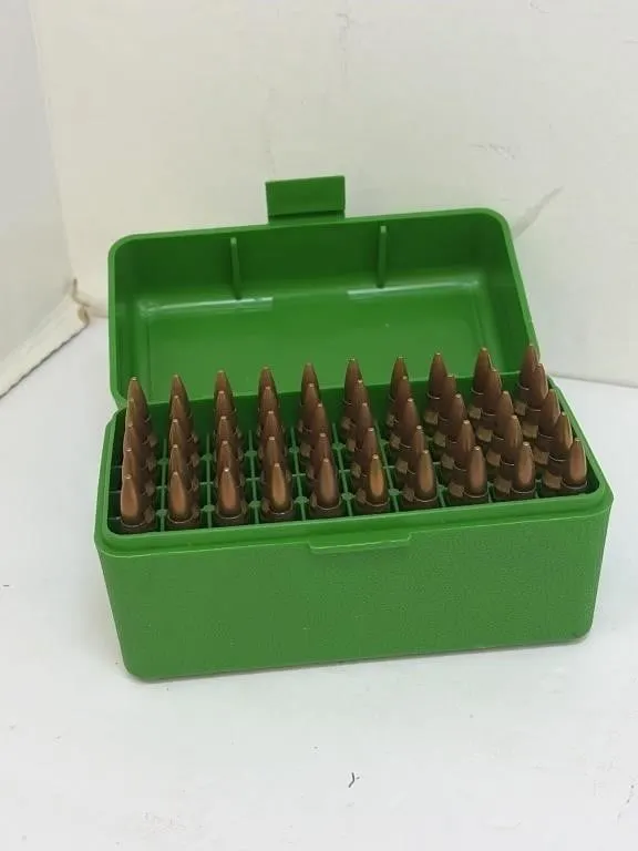 223 Ammo in Case