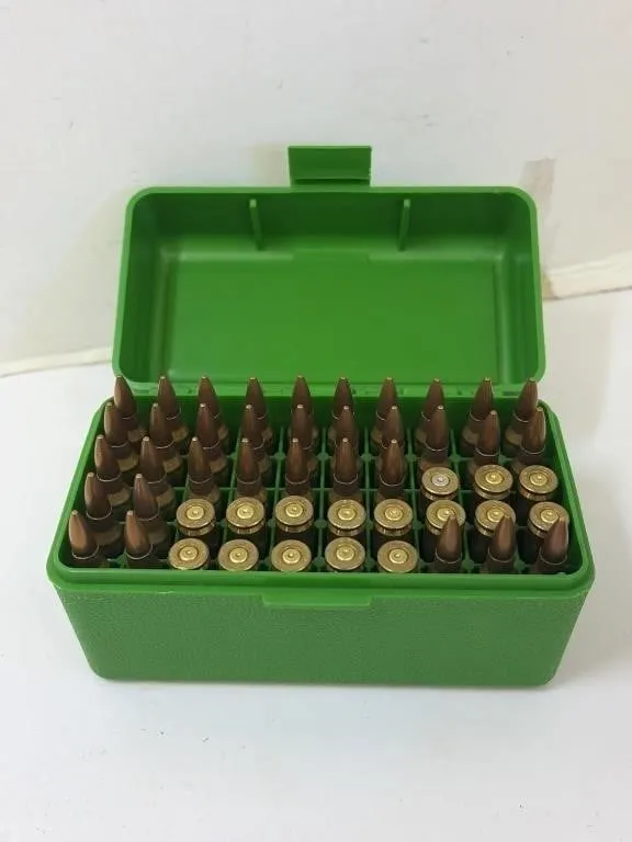 223 Ammo and Brass in Case