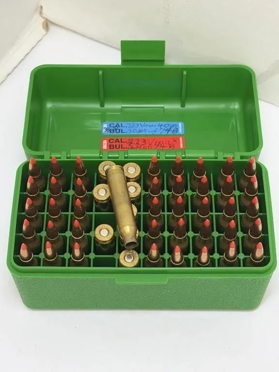 223 Ammunition and Brass in Ammo Case