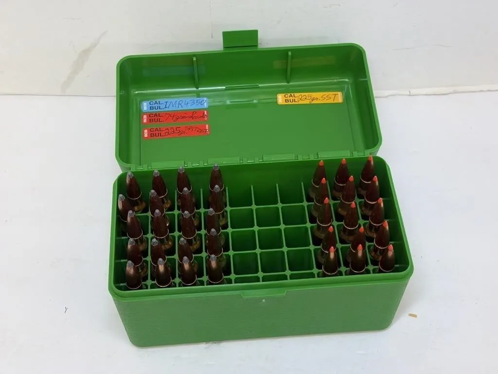338 Win Mag Ammunition in Ammo Case