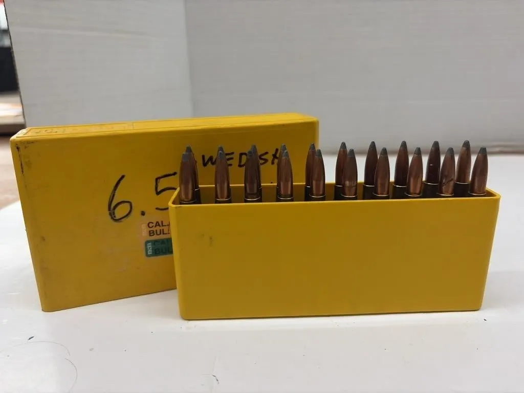6.5 Swedish Bullets