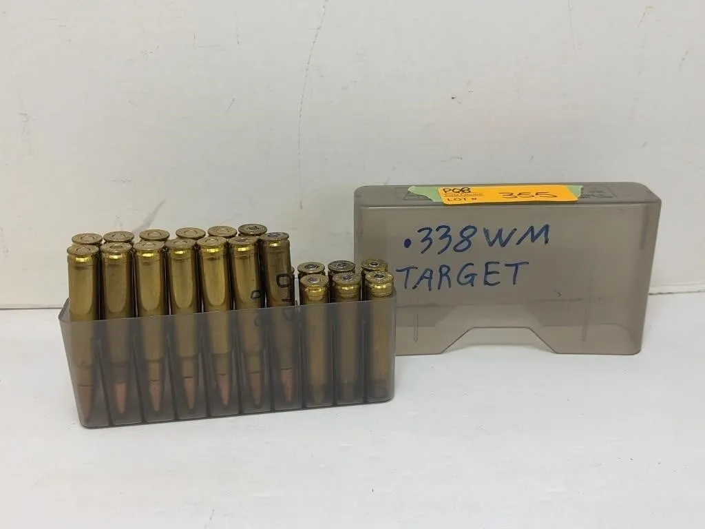 .338 Win Mag Ammo and Brass