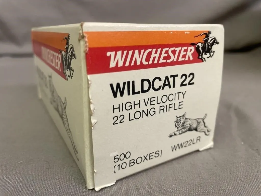 Ten boxes of 50 (500) Winchester Wildcat 22 High