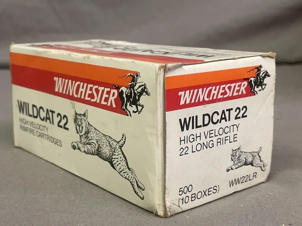 Ten boxes of 50 (500) Winchester Wildcat 22 High
