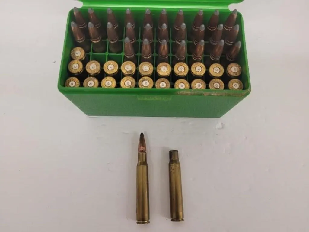 28 Live Rounds, .22 Fired Brass, .30-06 180 gr