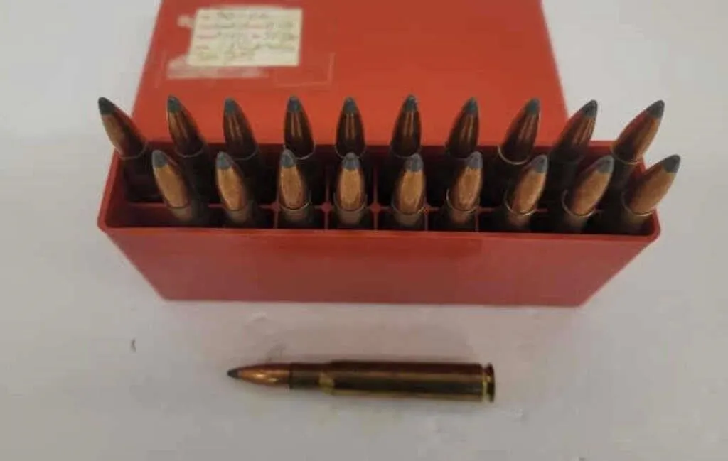 20 Live Rounds asstd 30-06 180 gr Spitzer