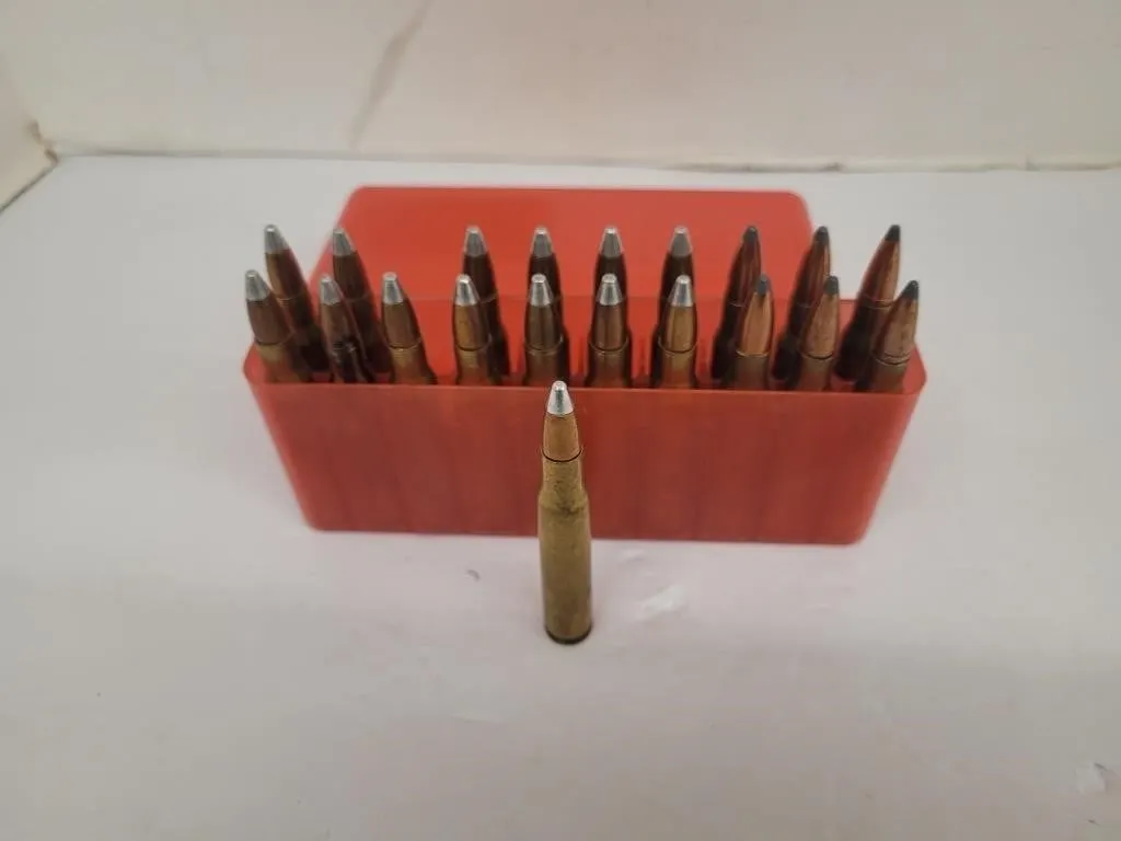 20 Live Rounds Winchester 30-06