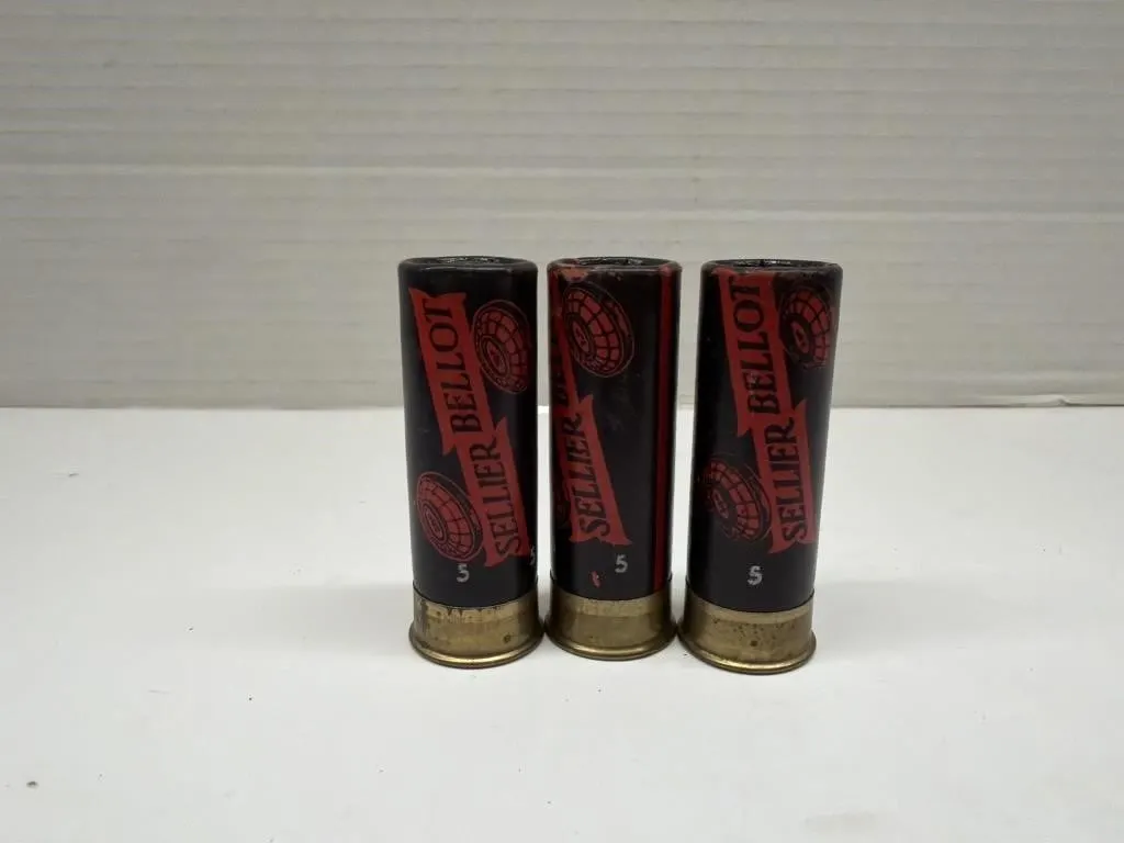 46 Assorted Shotgun Bullets