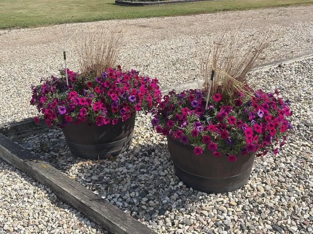 14.5 inch Tall Planters