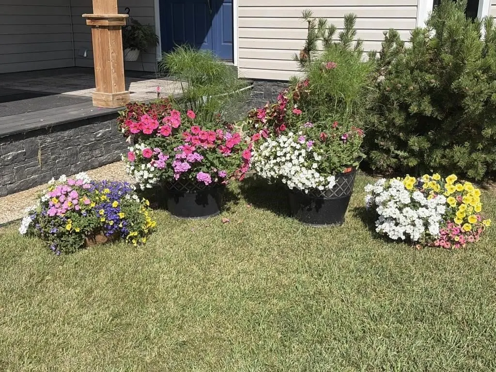 19.5 inch Planters with Hanging Planters