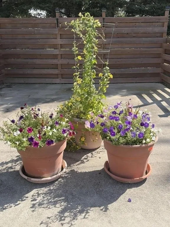 17/18 inch Planters - Plastic