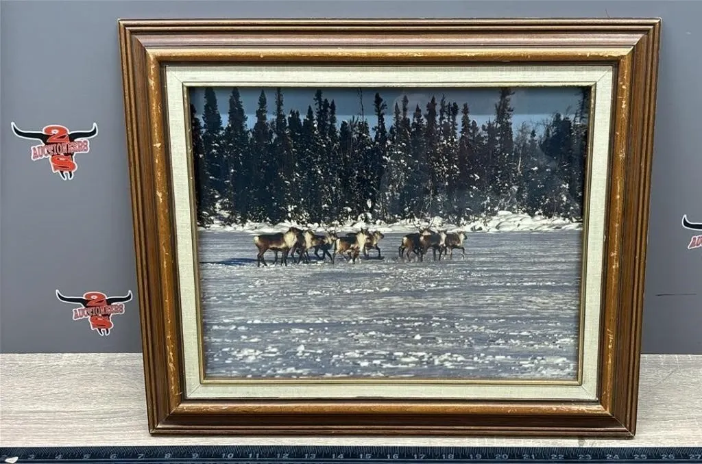 Framed Picture of Elk. 18�W x 15�H.