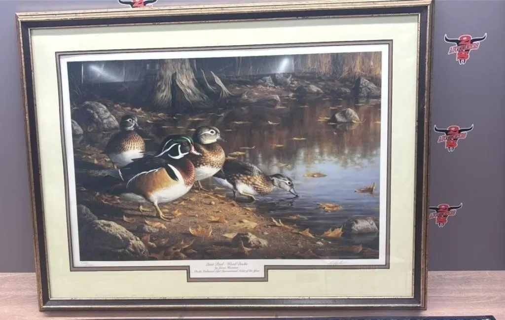 Framed Print Quiet Pool - Wood Ducks, By James