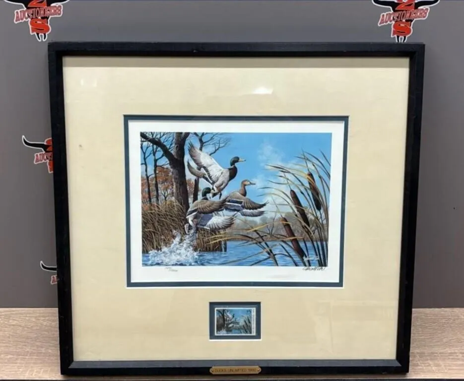 Ducks Unlimited Framed Print w/du 1992 $5 Stamp,
