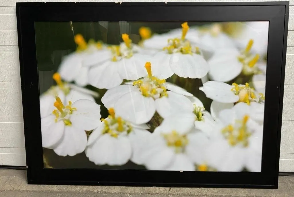 Large Framed Floral Photo. 41�W x 29�H.