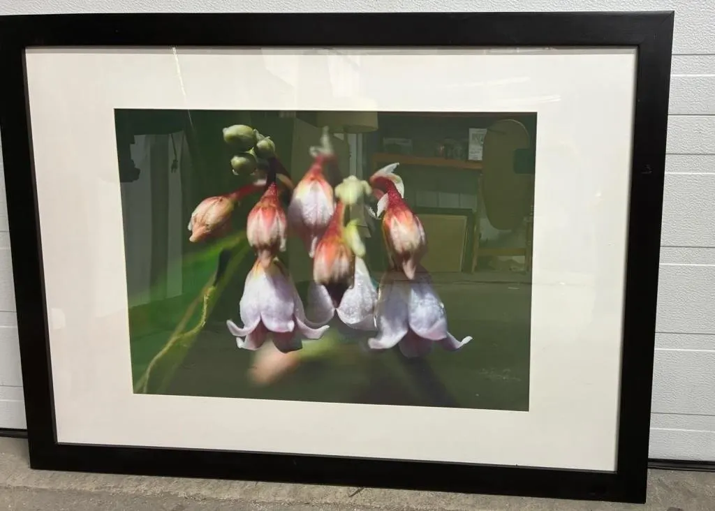Large Framed Floral Photo. 42.5�W x 31�H.