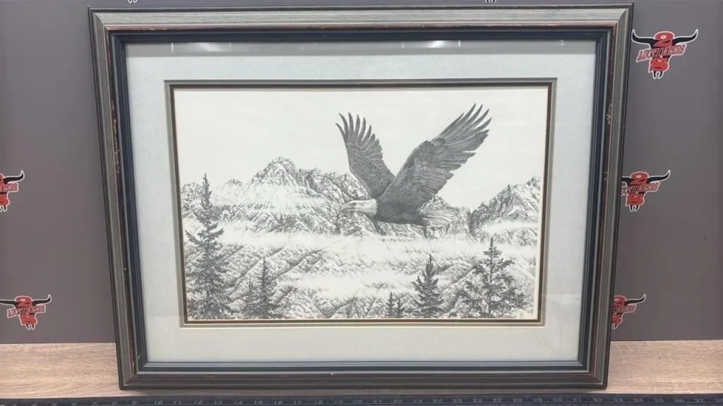 Framed Print Above & Beyond, 67/595 By B. Brown