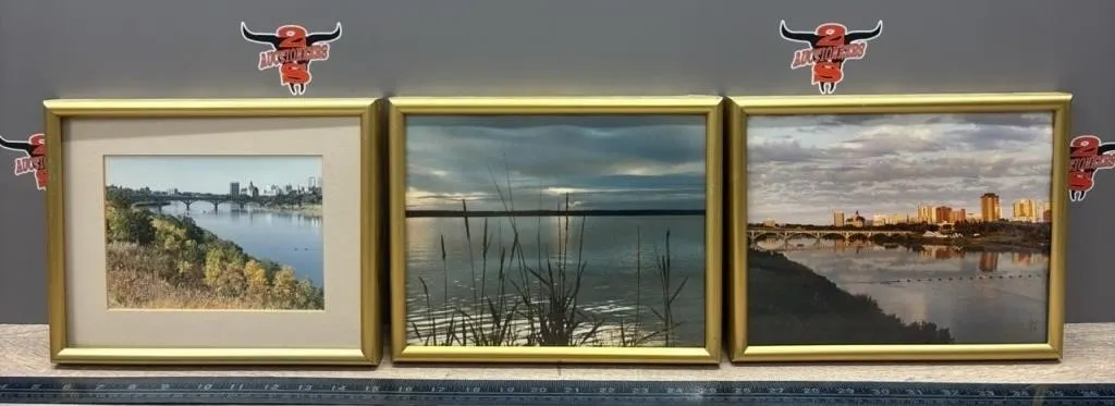 3 Gold Tone Framed Pictures 10�W x 8�H.