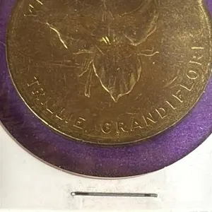 1867 White Trillium Ontario Coin.