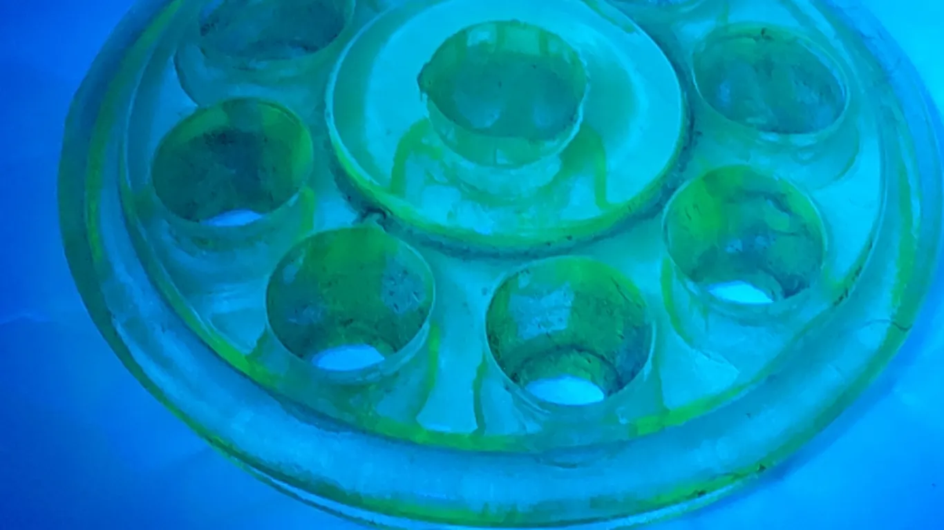 Vintage Uranium Green Glass Flower Frog 3.75"X1"