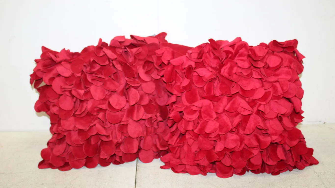 Red Throw Pillows