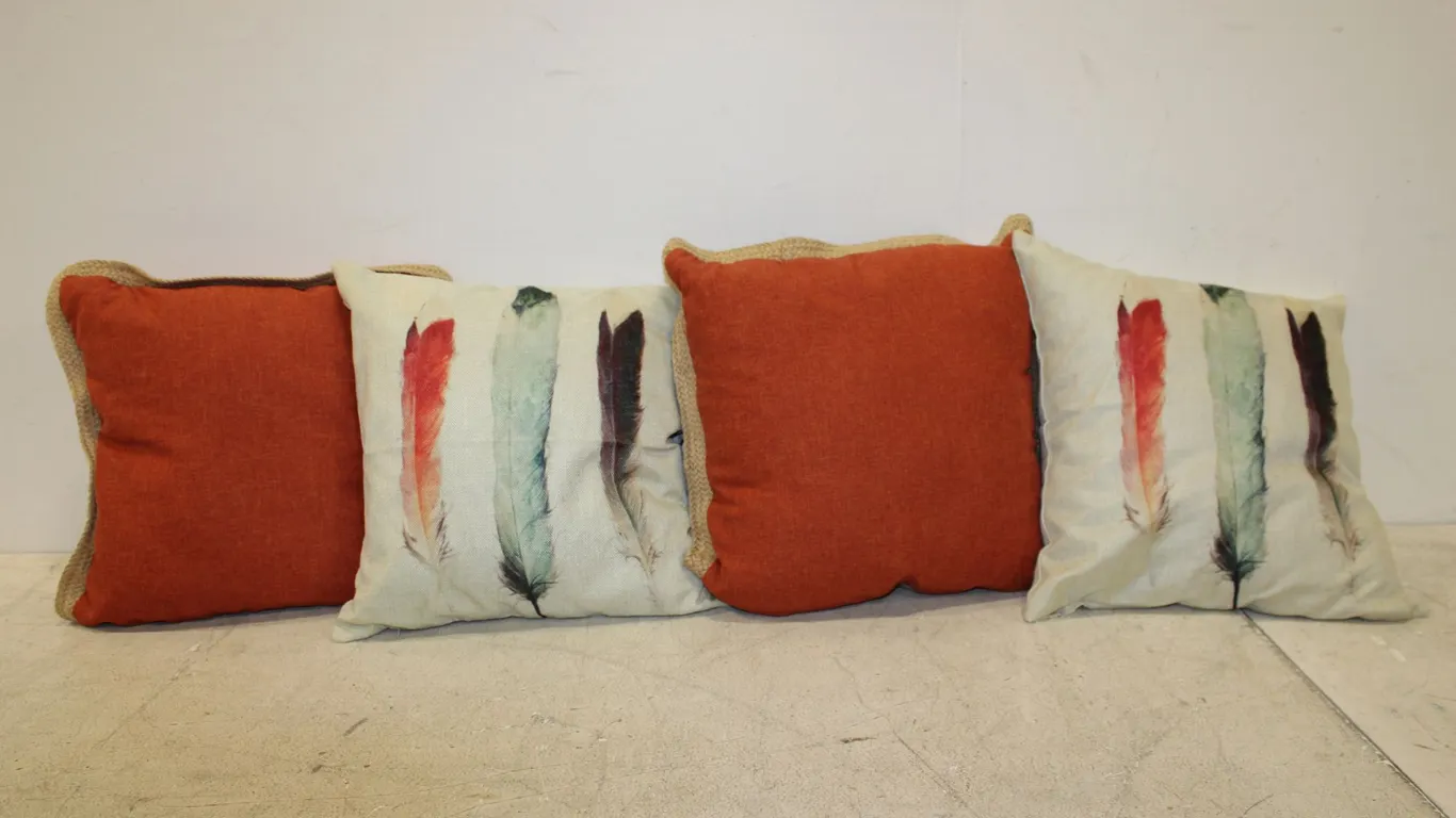 Feather & Oranage Throw Pillows