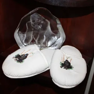 Gorilla Glass & Slippers