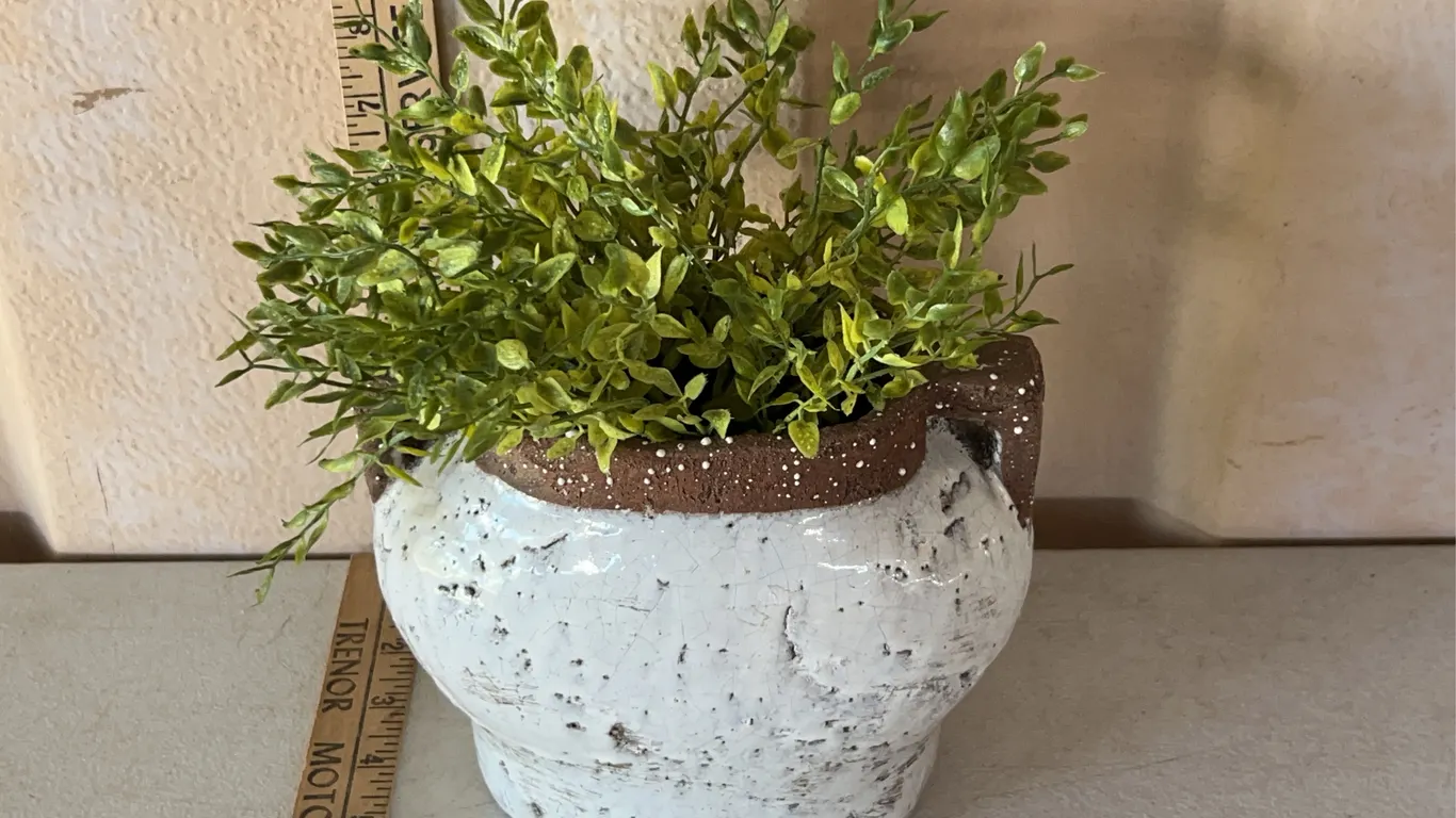 Pottery/Crock Planter