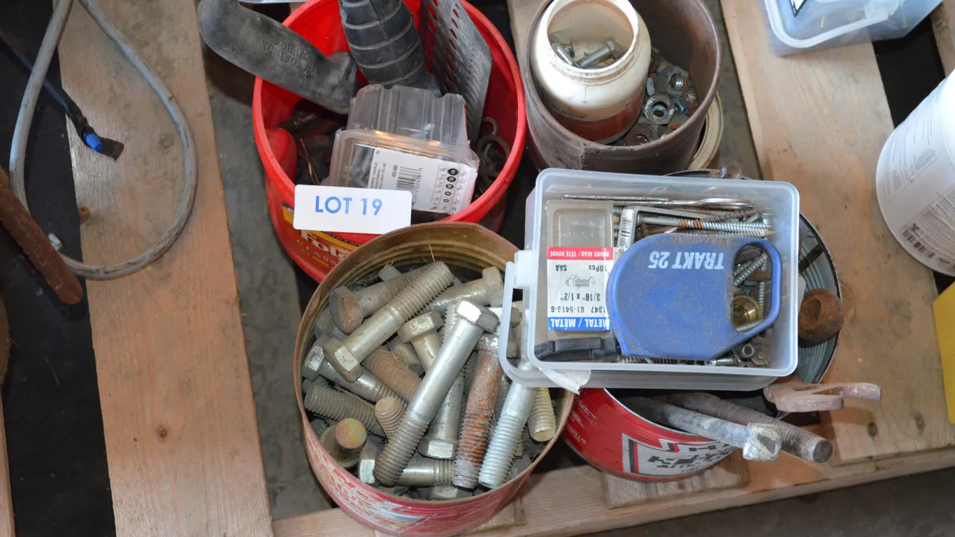 Assortment of Bolts