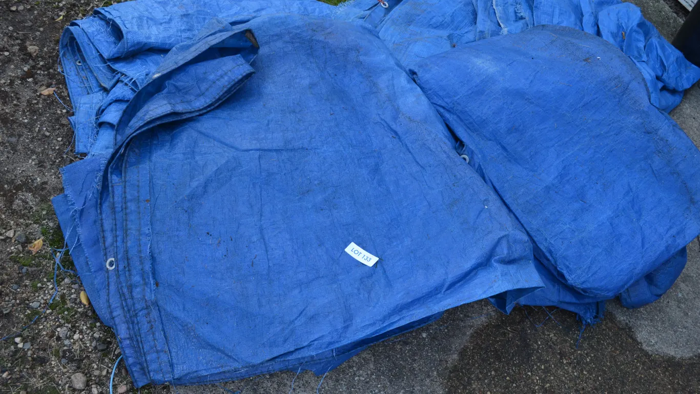 3 Various Size of Tarps