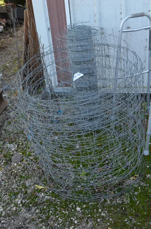 Paige Wire and Tomato Cages