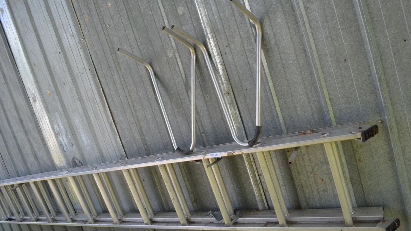 Double Ladder, approx. 20'