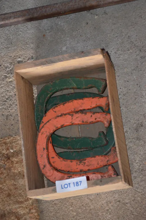 Orange and Green Horse Shoes